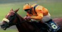 Kinane hails hero Vintage Crop