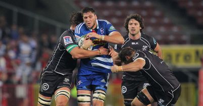 Same again for Sharks