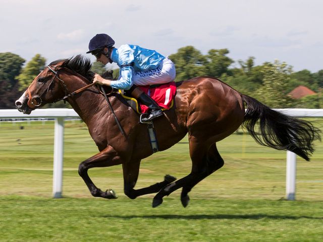 http://e2.365dm.com/14/07/640/horse-racing-ladies-day-sandown-park-beacon_3167892.jpg?20140704145405