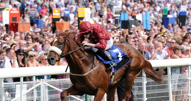 Flaming Spear: Set to run in the LLP Acomb Stakes