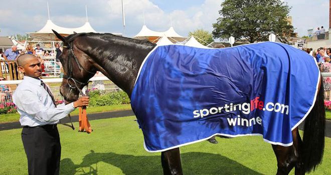 Valley Of Fire sports his sportinglife.com winner's rug