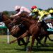 Sennockian stars at Goodwood