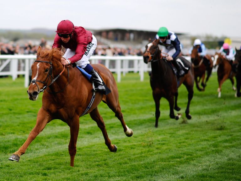 Eagle Top: Could run at York