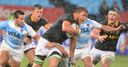 Springboks v Argentina in focus