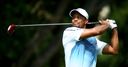 Tiger to return from injury