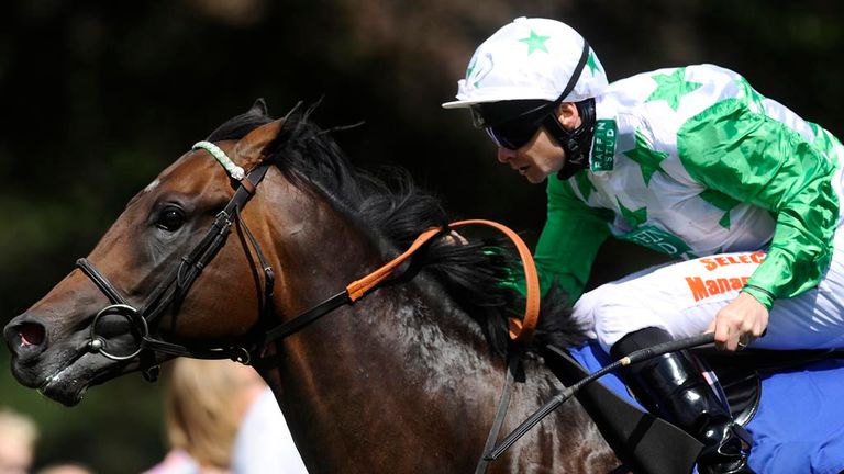 Twilight Son: Made an impressive debut at Salisbury