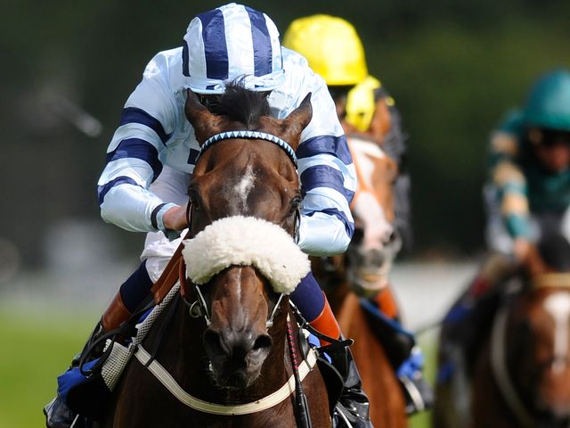 http://e2.365dm.com/14/08/640/captain-cat-wins-the-totepool-sovereign-stakes-at-salisbury_3190707.jpg?20140814165014