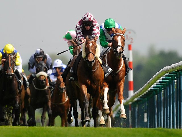 De Rigueur: Aiming to get back on the winning trail at Chester