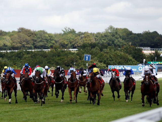 Intrinsic (far right) wins the Stewards' Cup