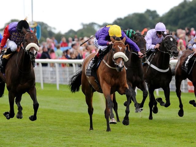 Pale Mimosa ridden by Pat Smullen (centre, yellow cap) wins the Weatherbys Hamilton Insurance Lonsdale Cup