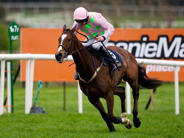 http://e2.365dm.com/14/11/640/vautour-horse-racing-ruby-walsh_3232035.jpg?20141122105023