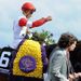 Dettori denied by purring Kitten