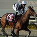 Karakontie takes Golden Mile