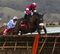 Horse Racing Betting