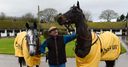 Henderson primes Betfair squad