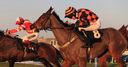Polamco aims to be Sandown hero