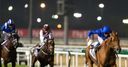 Safety first in Zabeel Mile