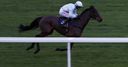 Some Plan takes Sky Bet Trial