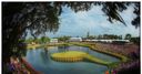TPC Sawgrass course guide