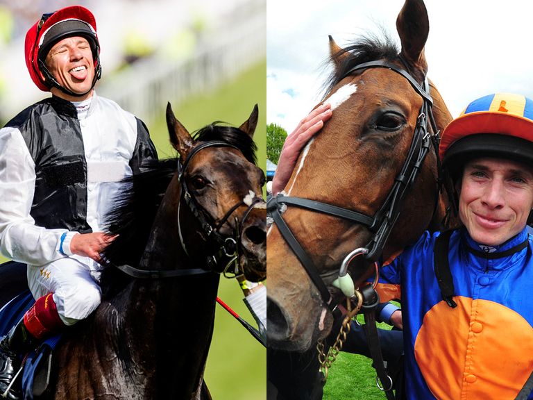 Golden Horn and Gleneagles: Set to meet at York.