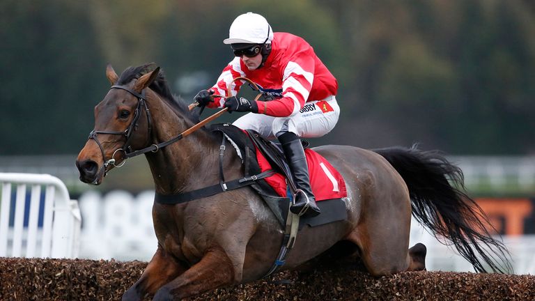 Coneygree: Injury prone since winning the Gold Cup