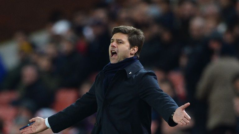 Mauricio Pochettino is keen to add a striker to Tottenham's squad this summer