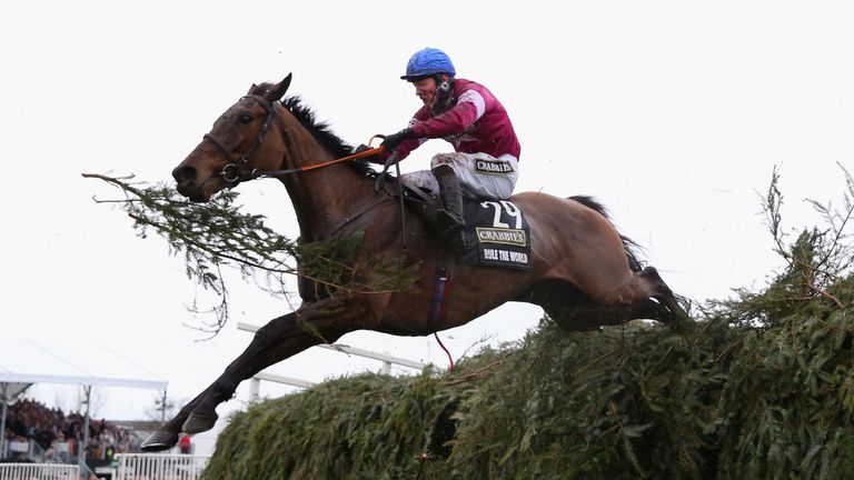 Rule The World ridden by David Mullins won the 2016 Grand National
