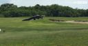 WATCH: Alligator stops play!