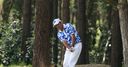 WATCH: Hend's tree trouble
