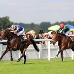 Champions Day: Horse-by-horse