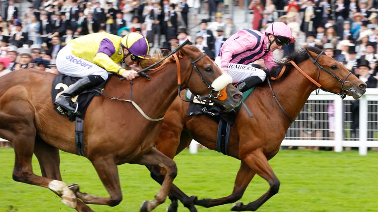 Outback Traveller and Brando could meet again at Goodwood