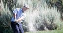 Chalmers extends lead in Reno