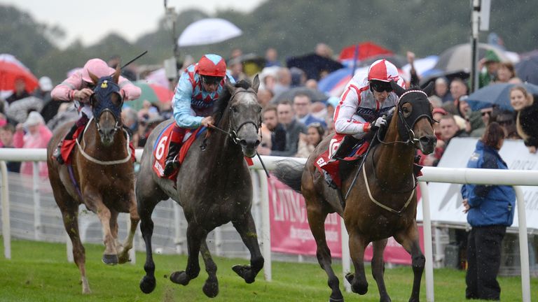 Scarlet Dragon is due to run in the Qatar Derby