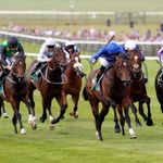 Racing Post Trophy: Horse-by-horse