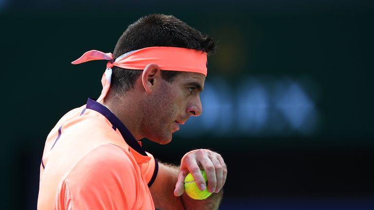 Juan Martin del Potro crashed out of the Shanghai Masters on Tuesday