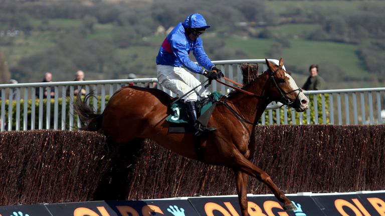 Alvarado ridden by Paul Moloney at Cheltenham