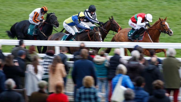 Poetic Rhythm : Could begin hurdling career at Newbury