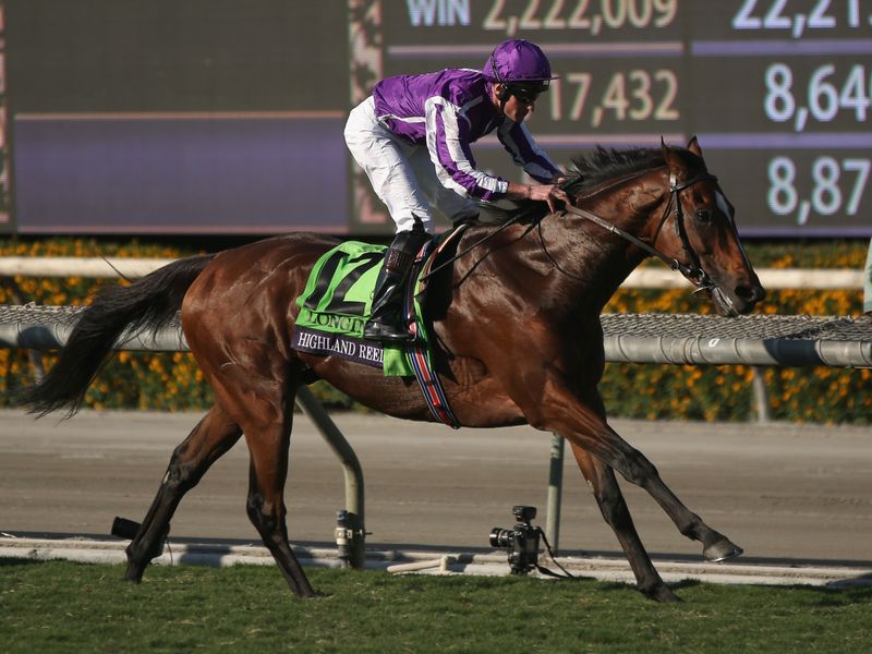 Racing Form Breeders Cup Racing Form