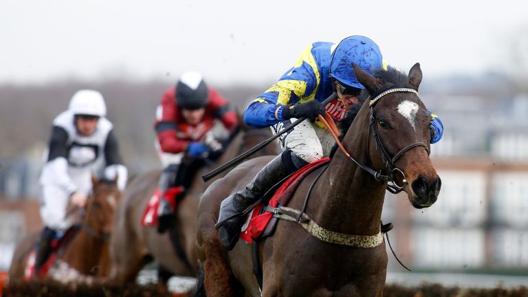 Coeur De Lion: Booked trip to Cheltenham Festival