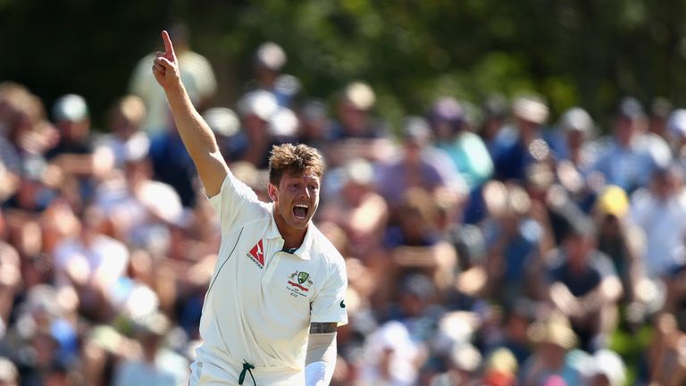 Pattinson injured his back on Australia's tour to New Zealand last February