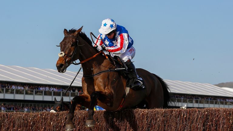 Special Tiara could be heading for Sandown