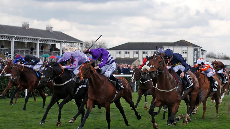 Oh This Is Us (C) has stepped up from handicap company this season