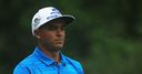 Fowler stuck up a tree!