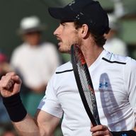 Murray reaches French Open semis