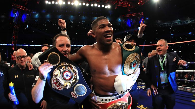 Anthony Joshua secured a thrilling success over Wladimir Klitschko this year