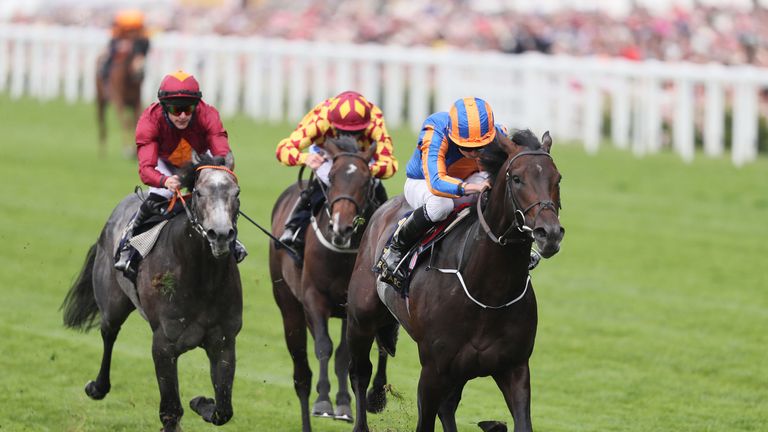 Sioux Nation: Winner of the Phoenix Stakes