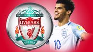 dominic solanke liverpool england 3974979