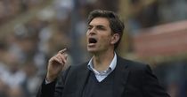 Southampton appoint Pellegrino