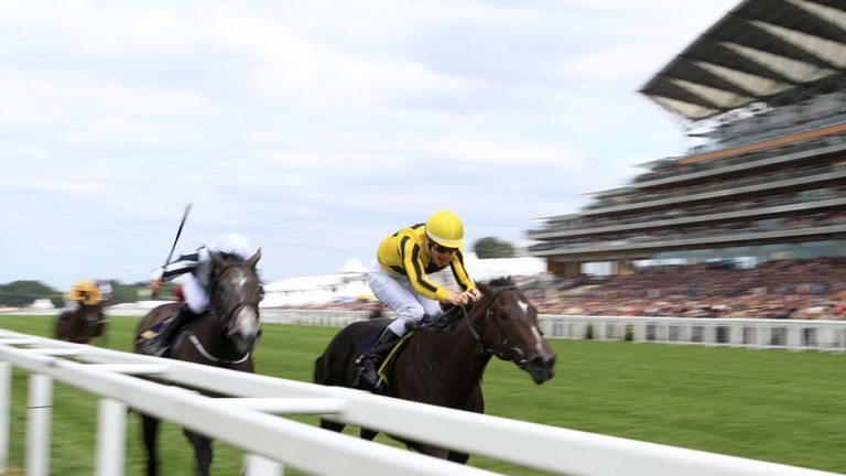 Alpha Centauri finishes second at Royal Ascot