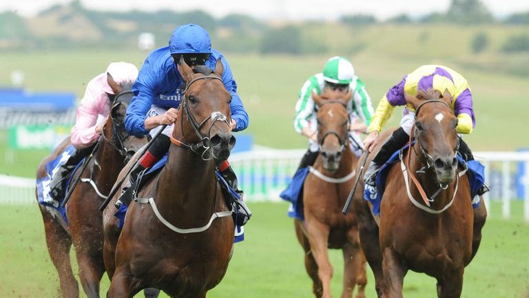 Harry Angel: Will reappear at York next month